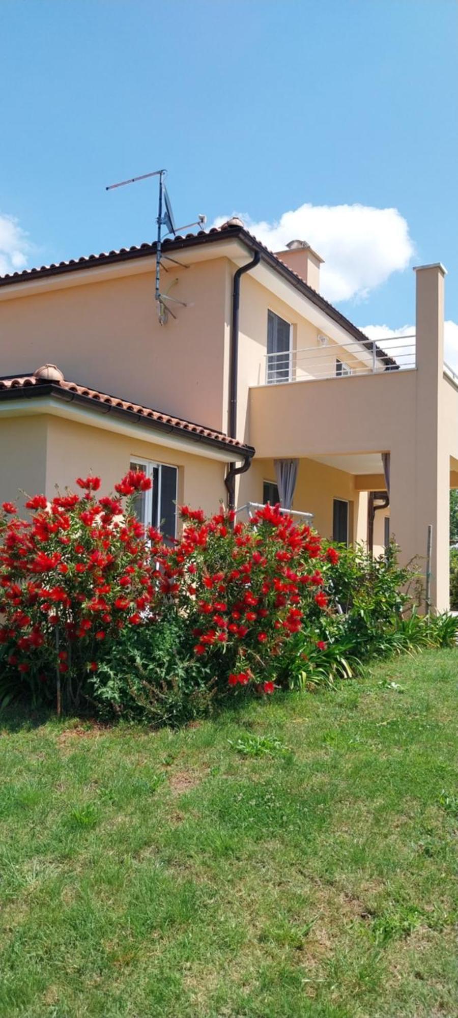 Vila Dubravka - Schoen Und Komfortabel Inmitten Von Olivenbaeumen Und Weinbergen Mit Whirlpool Valtura Exterior foto